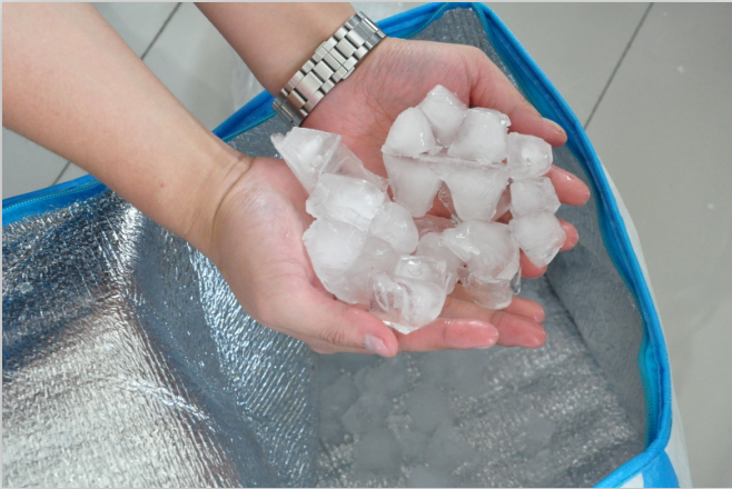 提前凍好的冰塊 提前凍好的冰塊